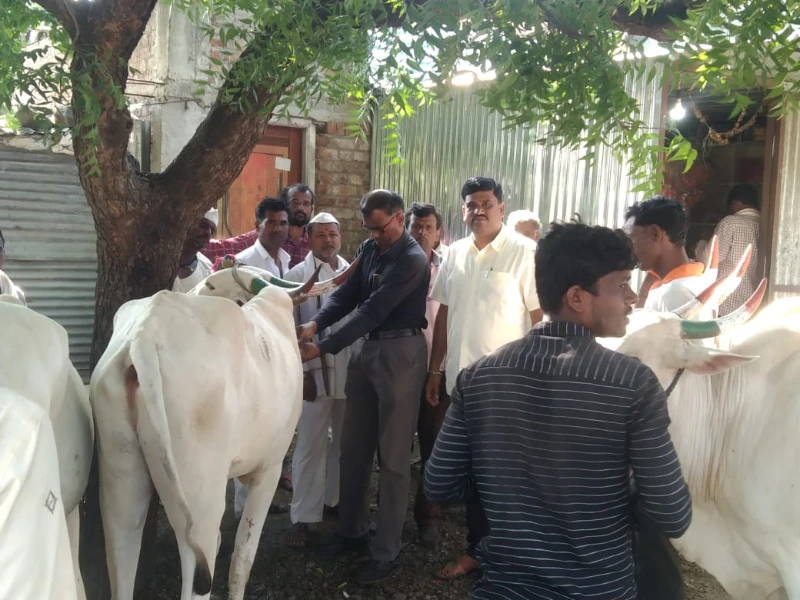 लंपी आजार प्रतिबंधक लसीकरण मोहीम