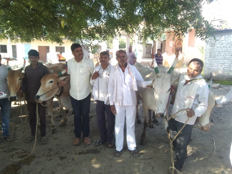 लंपी आजार प्रतिबंधक लसीकरण मोहीम